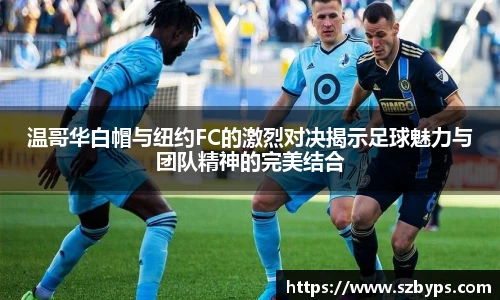 乐彩汇官方网站